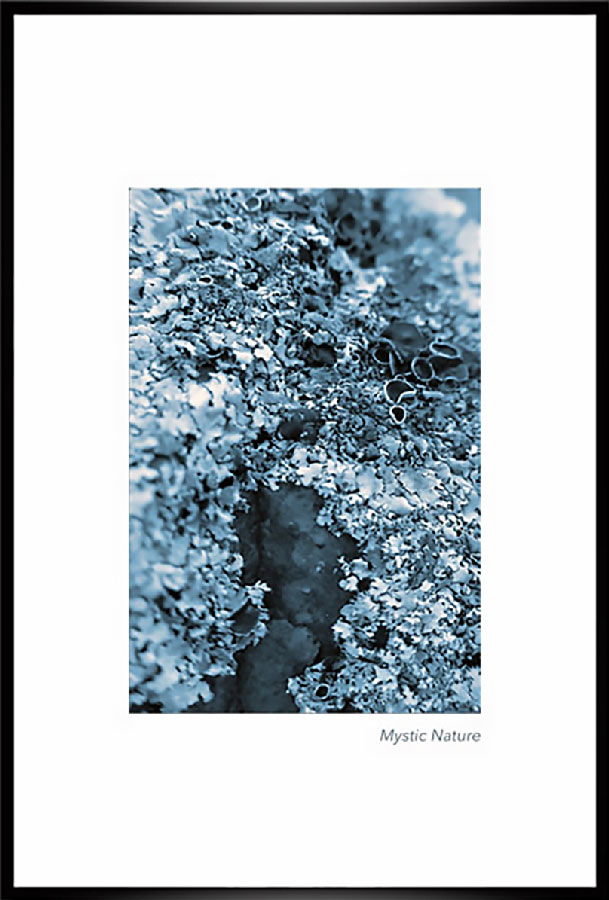 Mystic-Nature-Kunstdruck-rahmen-isabellahamann-kikilopa_1
